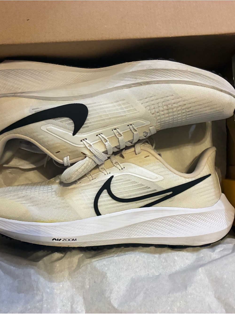 Nike Air Zoom Pegasus 39